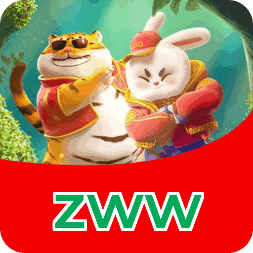 zww — instalação e tratamento de dados na plataforma